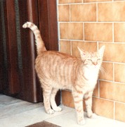 Micky 005