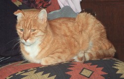 Micky 010