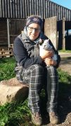 006 2018 katzenleben