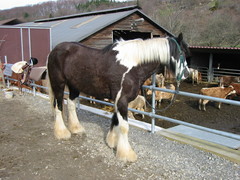 2004 03 001 März