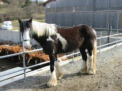 2004 03 002 März