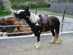 2004 04 006 April