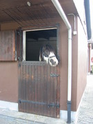 2004 07 014 Juli