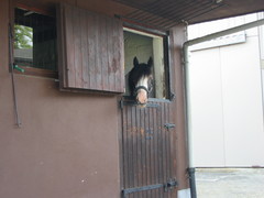 2004 07 015 Juli