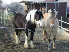 2005 003 Februar