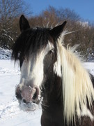 2005 005 Februar