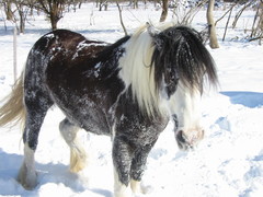 2005 007 Februar