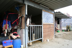 2006 002 Januar