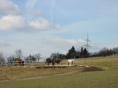2006 005 a Februar