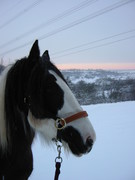 2007 001 Januar