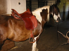 2007 006 Juli