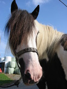 2007 013 Juli