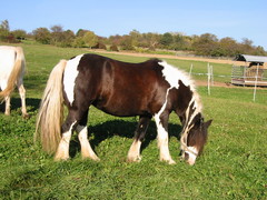 2007 016 Oktober