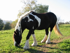 2007 018 Oktober