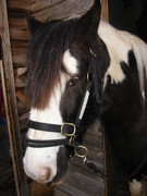 2008 001 Februar