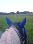 2008 015 Juni