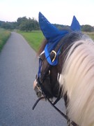 2008 016 Juni