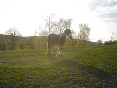2009 April