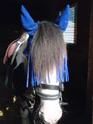 2010 001 februar