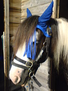 2010 003 februar