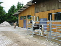 2010 005 juni