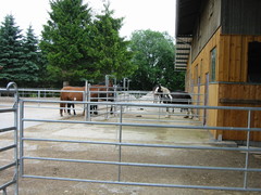 2010 006 juni
