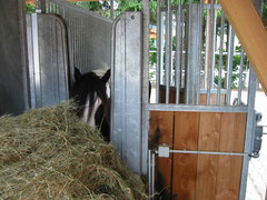 2010 010 juni