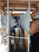 2010 011 juni