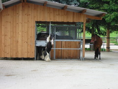 2010 012 juni