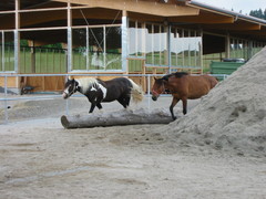 2010 014 juni