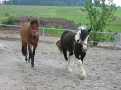 2010 015 juni
