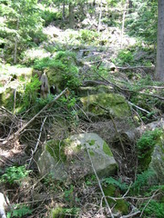 2010 022 juni kopie