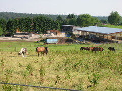 2010 025 juni