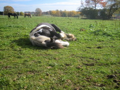 2010 028 oktober