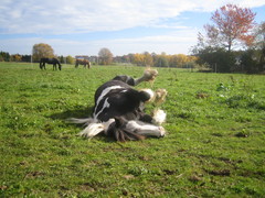 2010 029 oktober