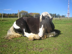 2010 030 oktober