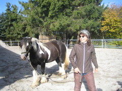 2010 031 oktober