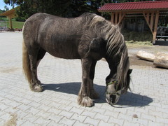 2011 016 mai