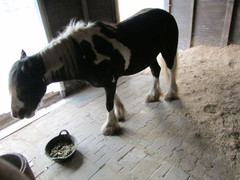 2012 006 August