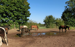 2012 007 September