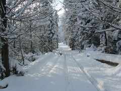 2013 001 Februar