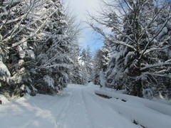 2013 002 Februar