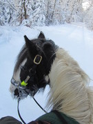 2013 003 Februar
