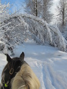 2013 004 Februar