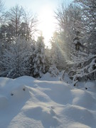 2013 005 Februar