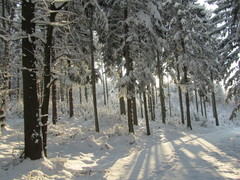 2013 006 Februar