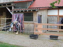 2013 014 Juli