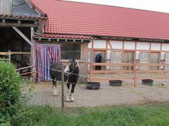 2013 015 Juli