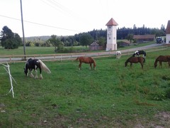 2013 016 August