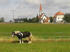 2014 010 September